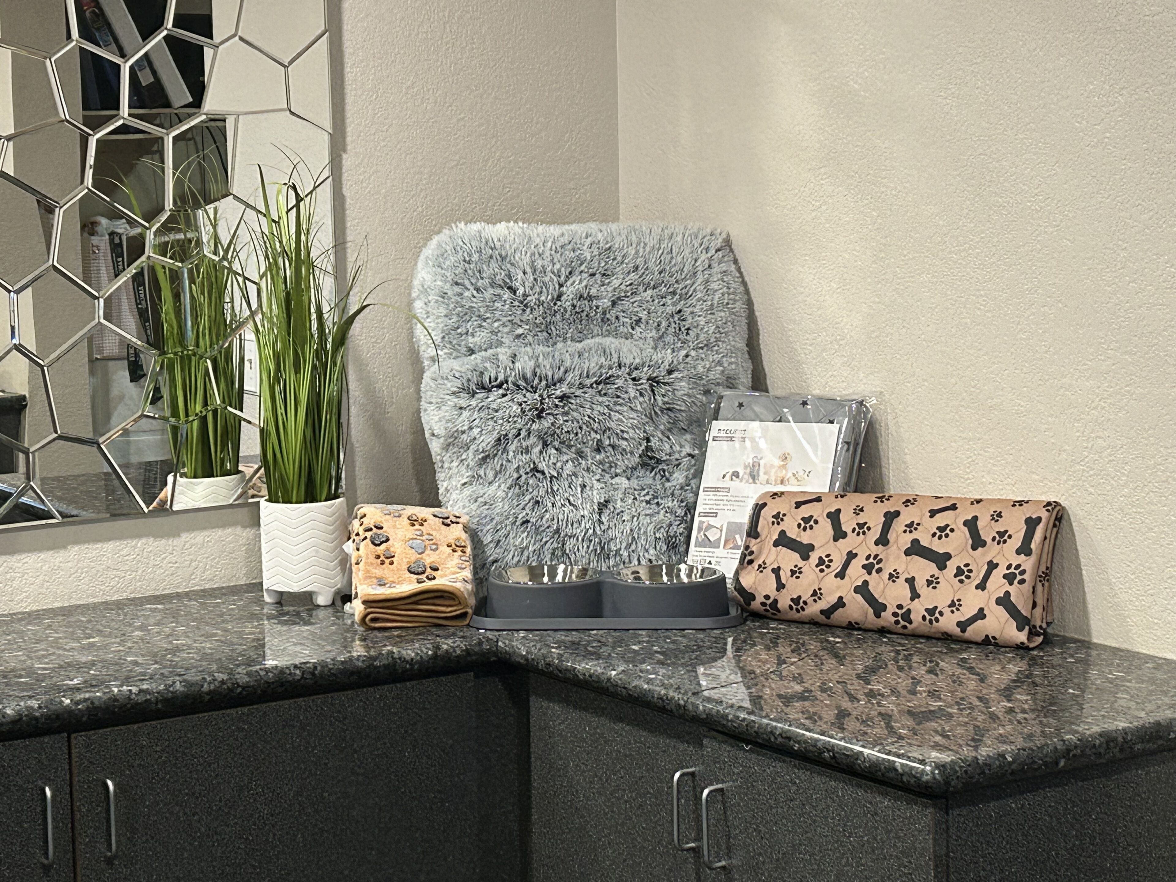 A bathroom with a towel rack, a potted plant, a folded towel, a magazine, and a toiletry bag.
