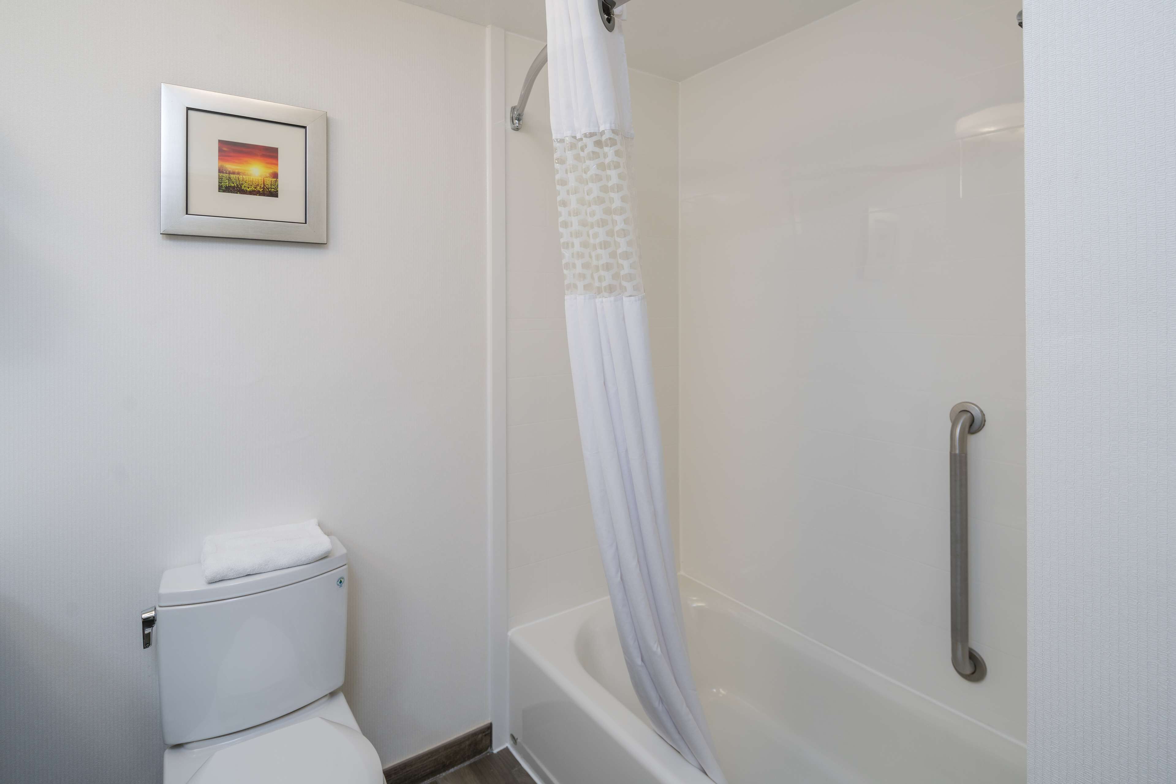 A bathroom with a toilet, a shower with a white curtain, and a framed picture on the wall.