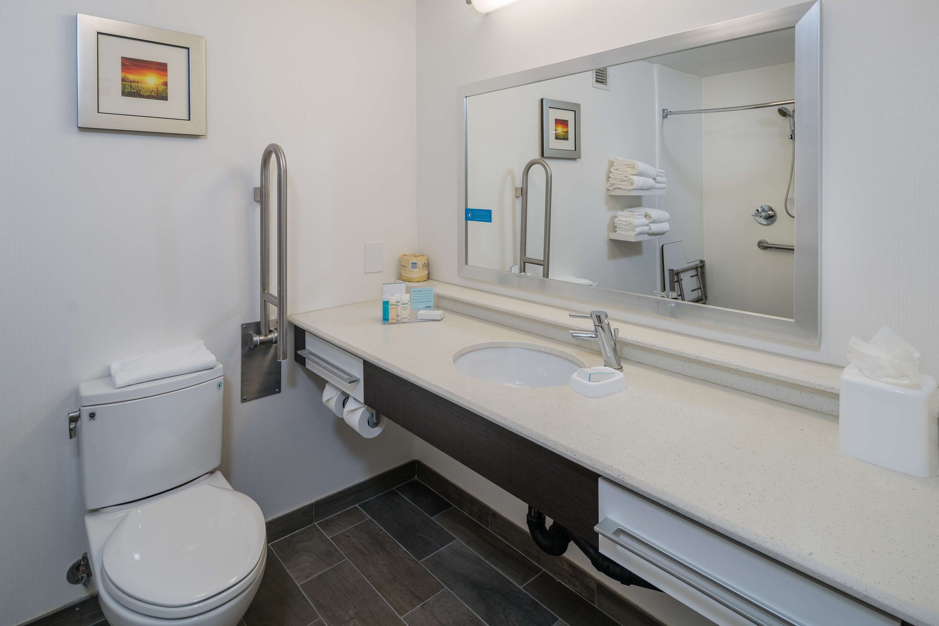 room, 1 king bed, accessible (roll-in shower) | bathroom | free toiletries, hair dryer, towels