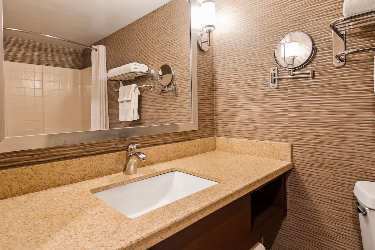 combined shower/bathtub, free toiletries, hair dryer, towels