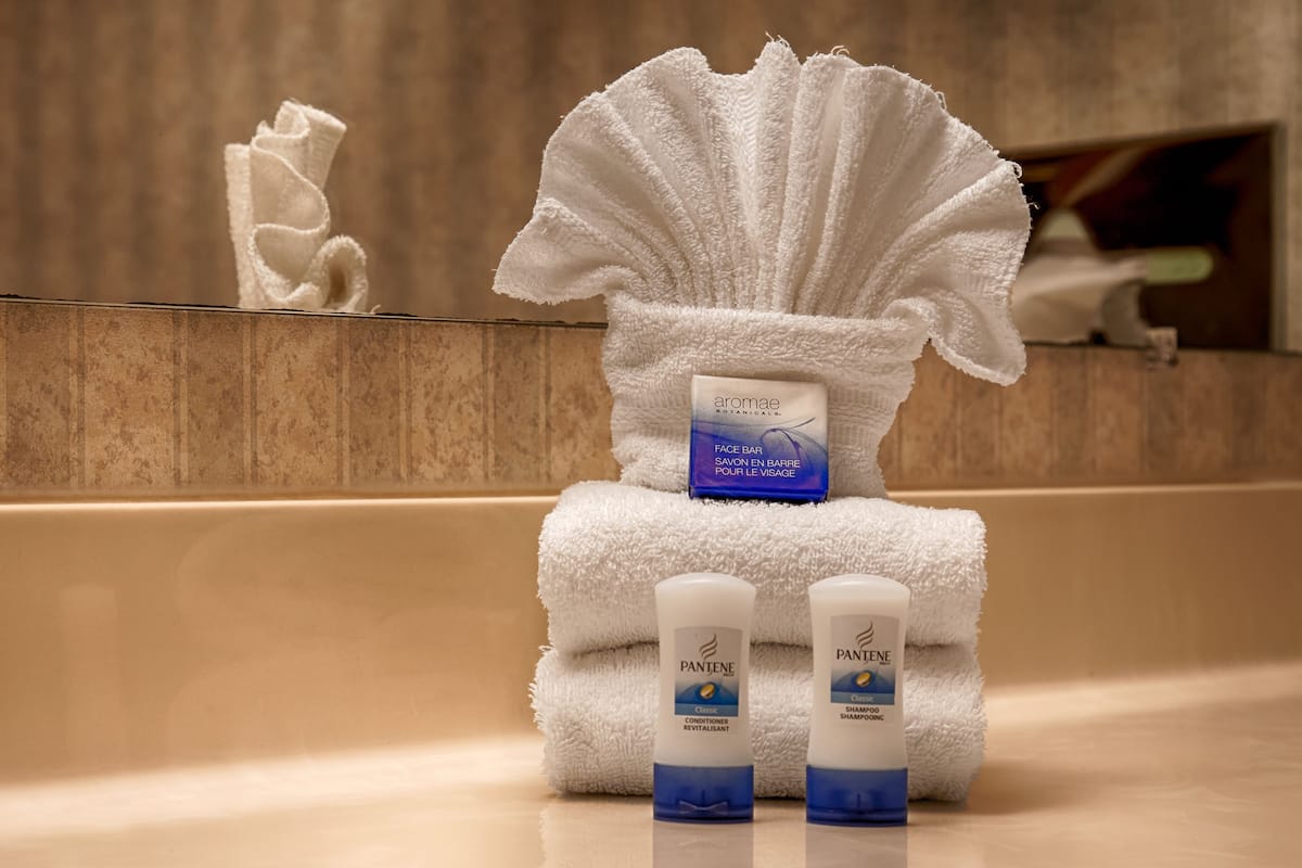 combined shower/bathtub, free toiletries, hair dryer, towels