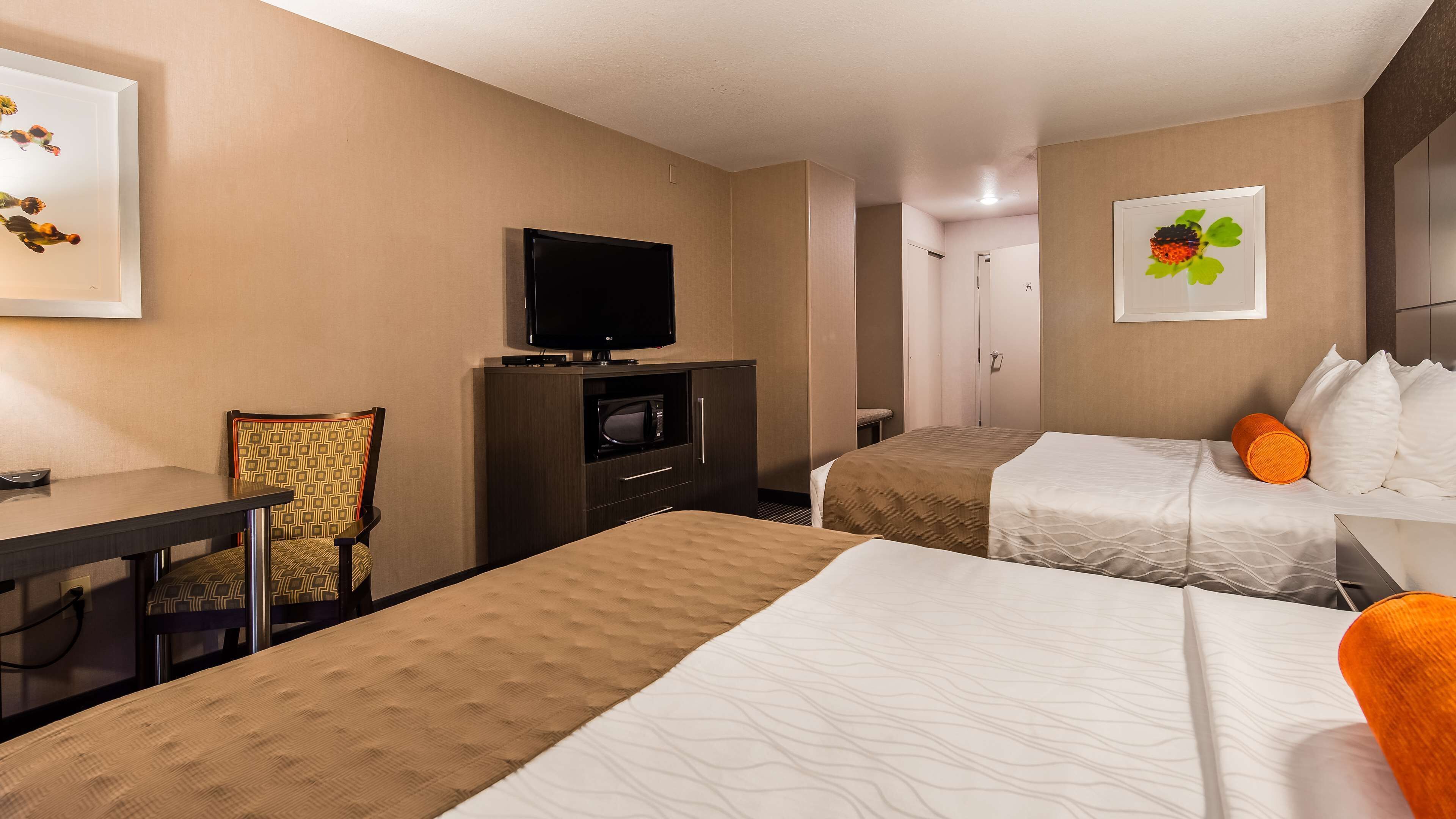 premium bedding, down duvets, blackout curtains, iron/ironing board