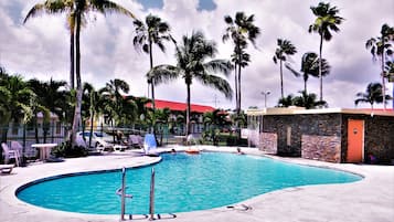 Relax by the pool surrounded by palm trees and lounge chairs.
