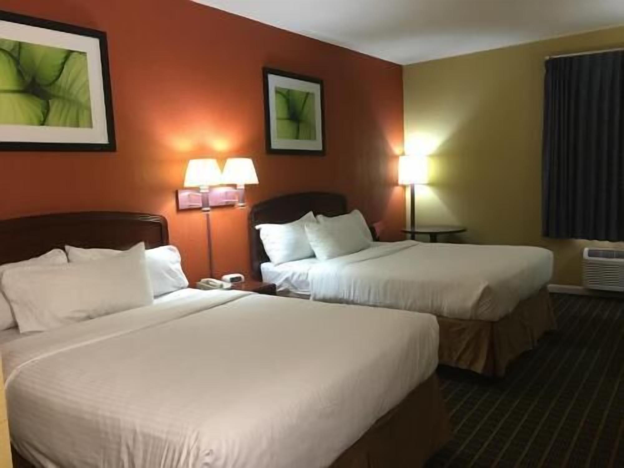 Ropa de cama de alta calidad, escritorio y cortinas blackout 