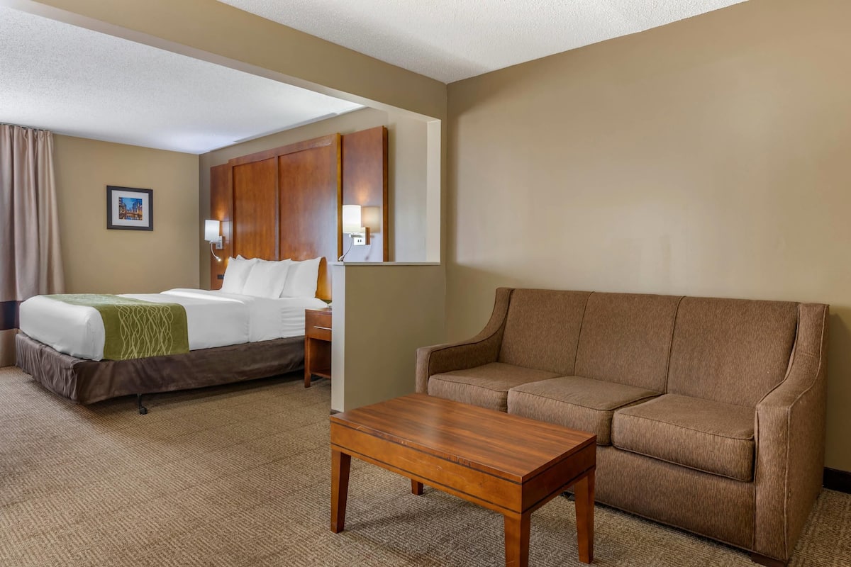 Suite, 1 King Bed with Sofa bed, Non Smoking