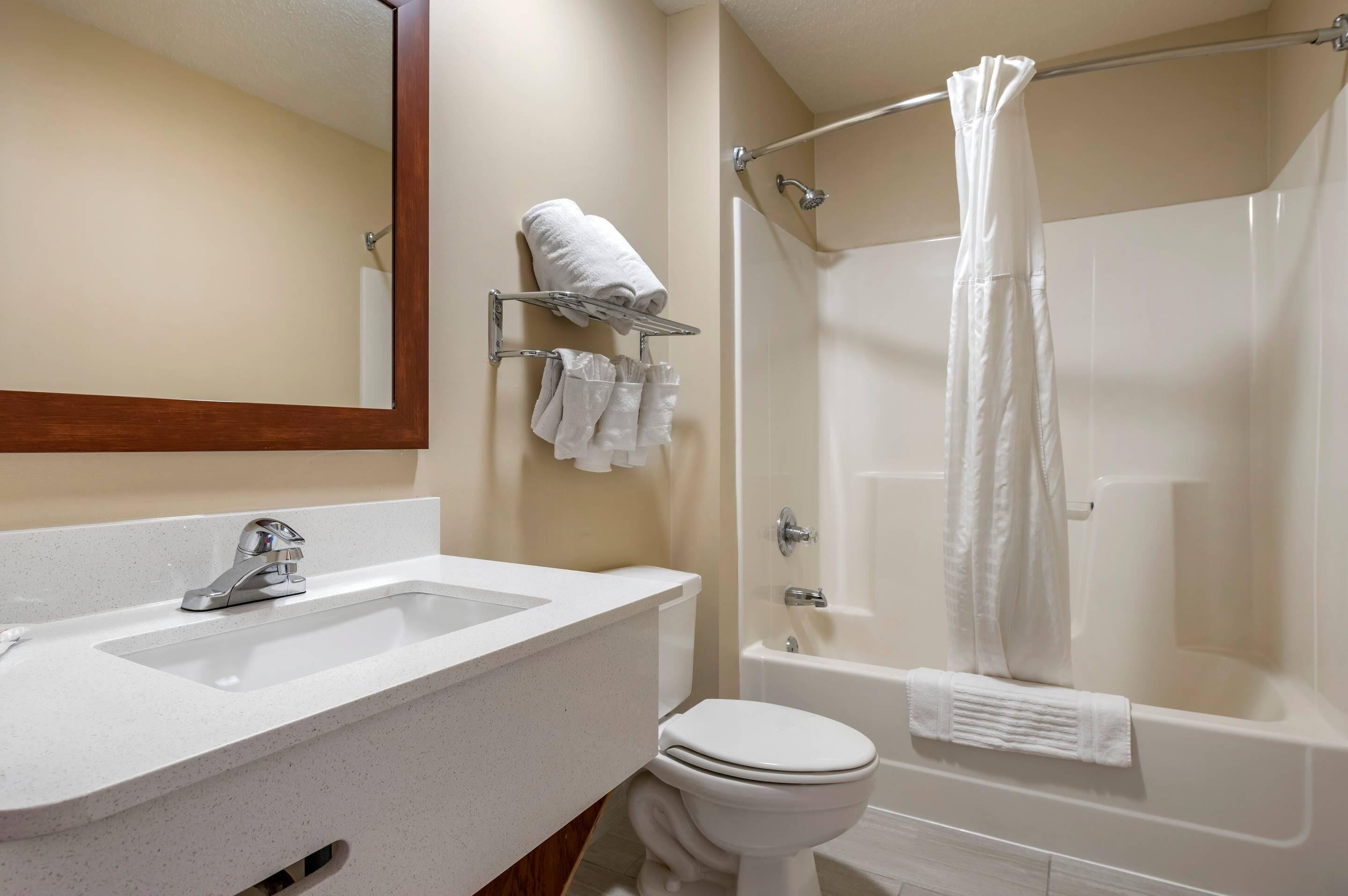 Une salle de bain avec un lavabo, des toilettes et une baignoire.