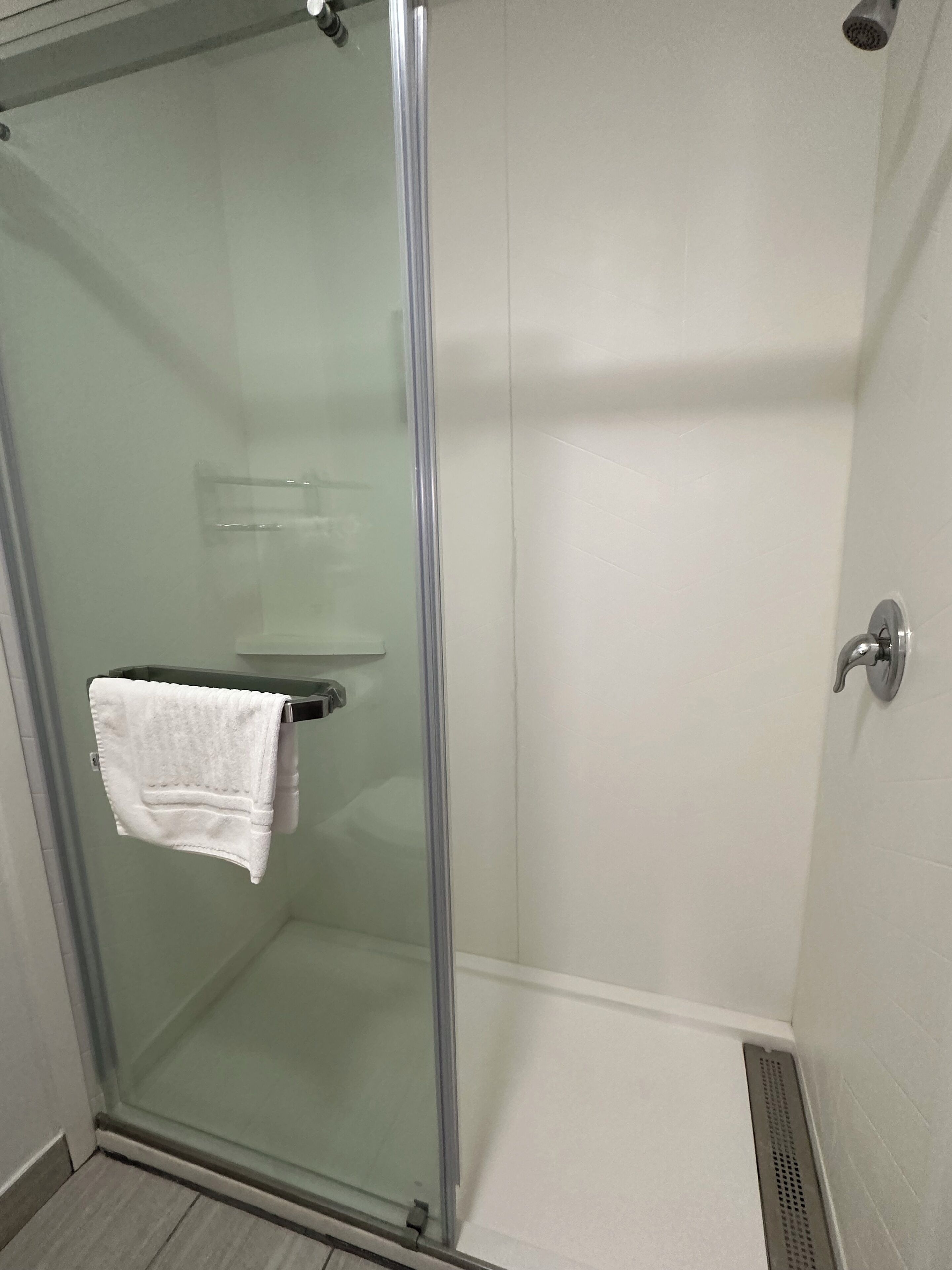 Une cabine de douche fermée par des parois en verre, avec une serviette blanche suspendue à un porte-serviettes.