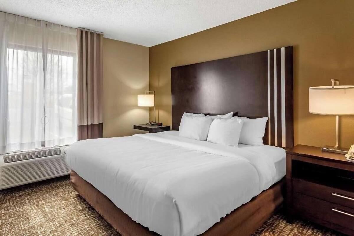 A hotel room with a large bed, a nightstand with a lamp, a window with curtains, and a wall-mounted headboard.