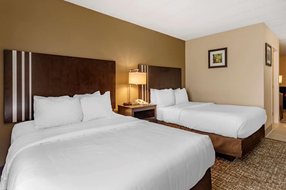 Suite, 1 Bedroom