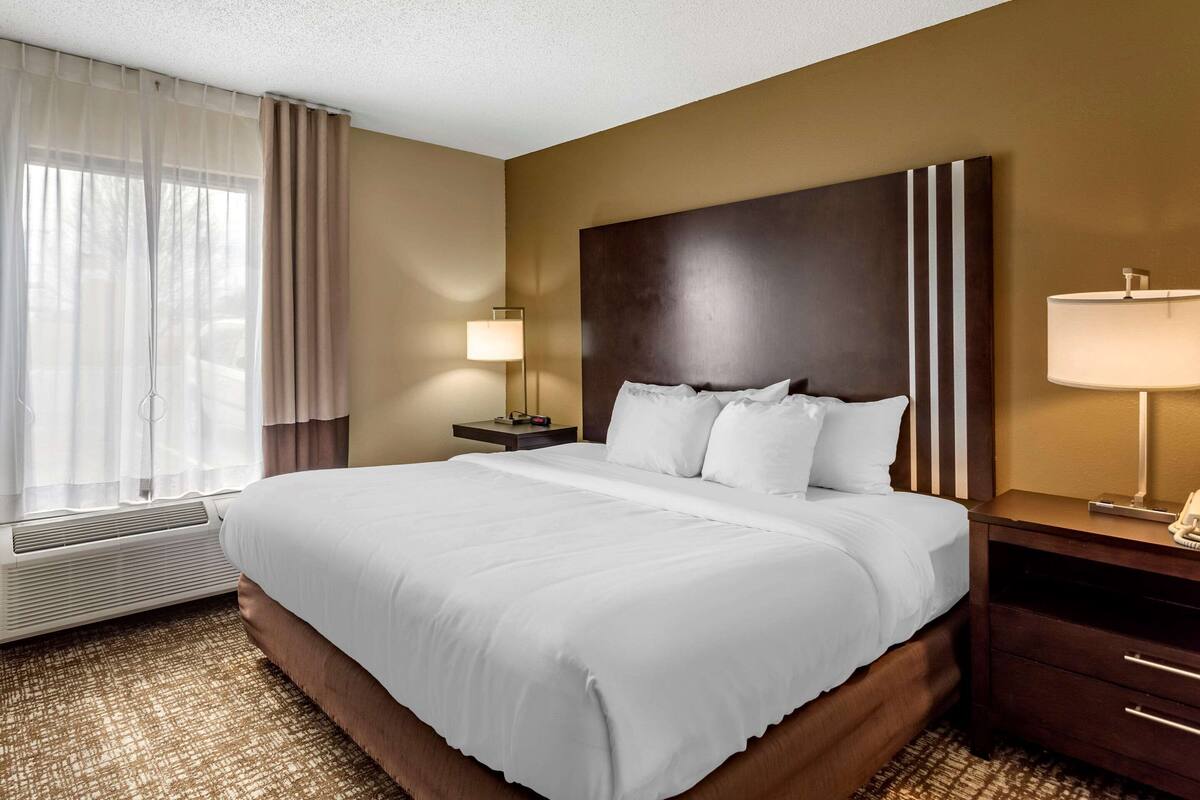 A hotel room with a large bed, a bedside table with a lamp, a window with curtains, and a wall-mounted artwork.