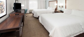 Hampton Inn Birch Run/Frankenmuth