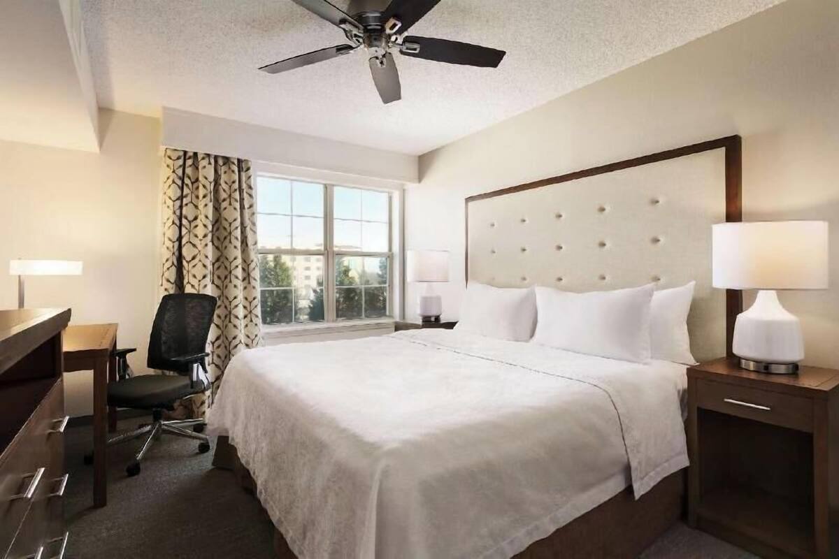 A hotel room with a bed, desk, chair, ceiling fan, and window.