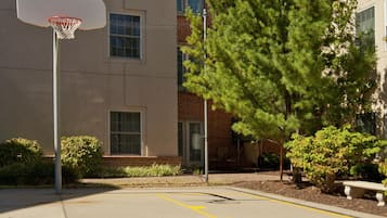 A basketball court with two basketballs and a hoop, surrounded by a building with windows and a tree.