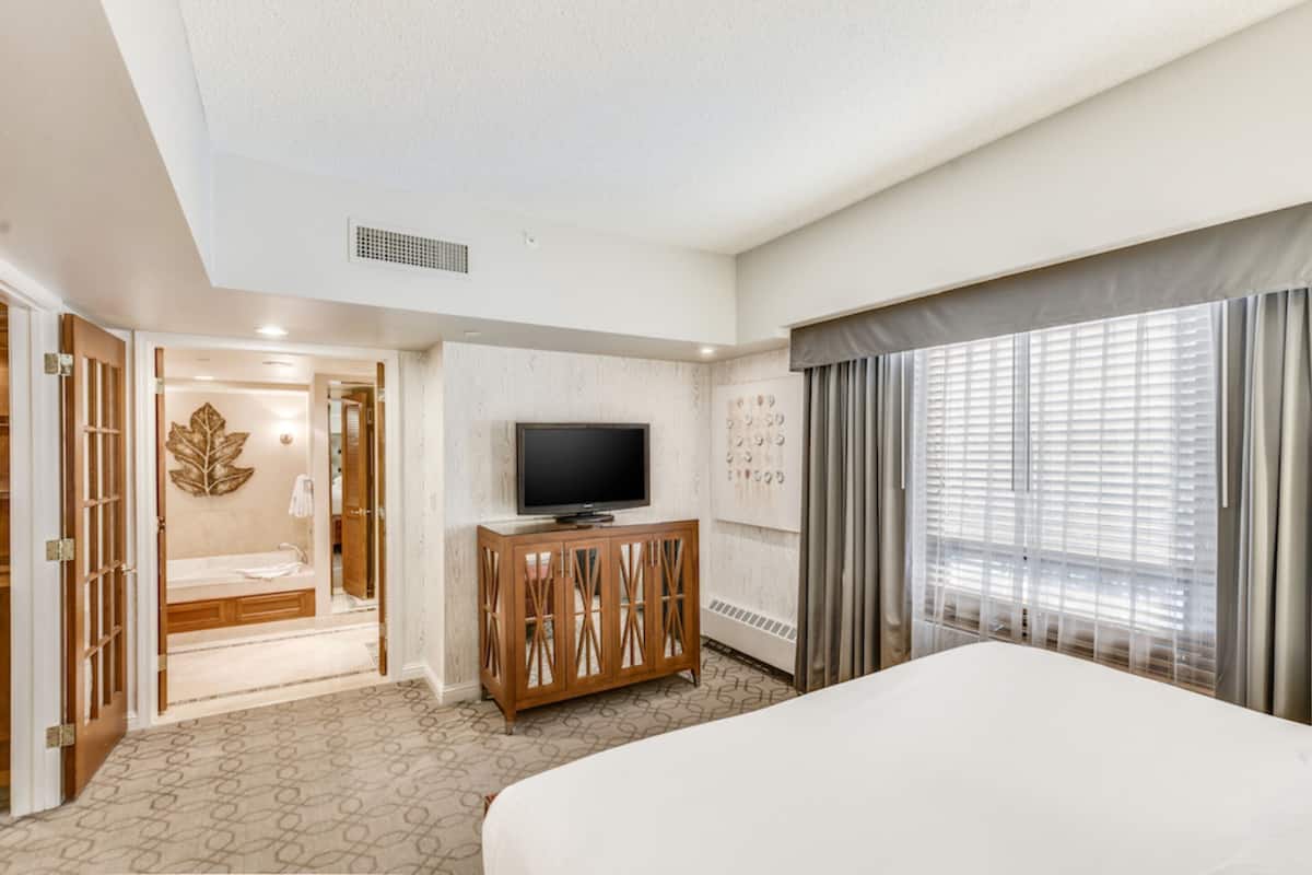 A hotel room with a large bed, a television on a wooden cabinet, a shower area, and a window with curtains.