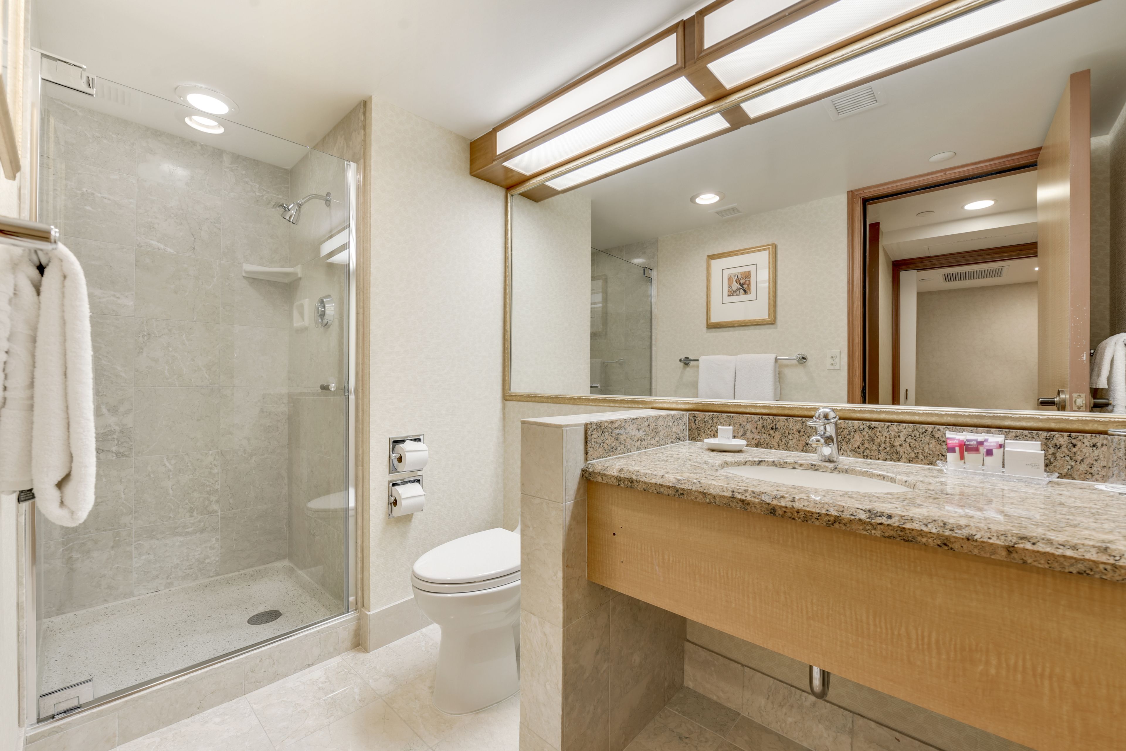 A modern bathroom with a glass-enclosed shower, a white toilet, and a granite countertop sink.