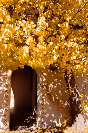 Exterior - Sagebrush Inn & Suites (Taos)