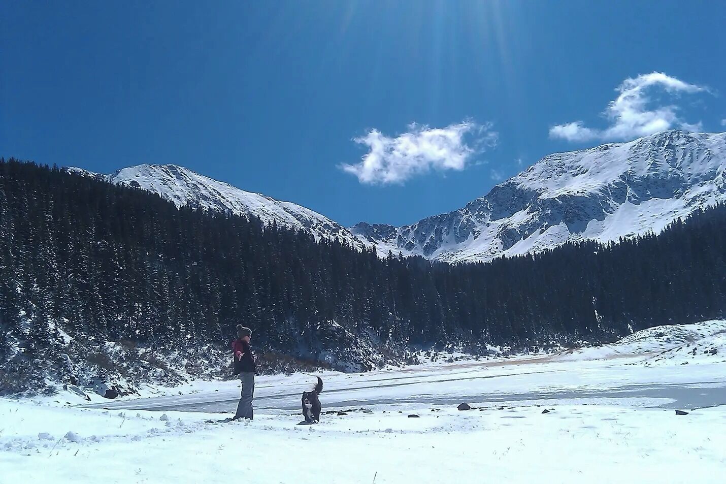Paisaje nevado con una persona y un perro cerca de un lago helado, rodeado de montañas y densos bosques.