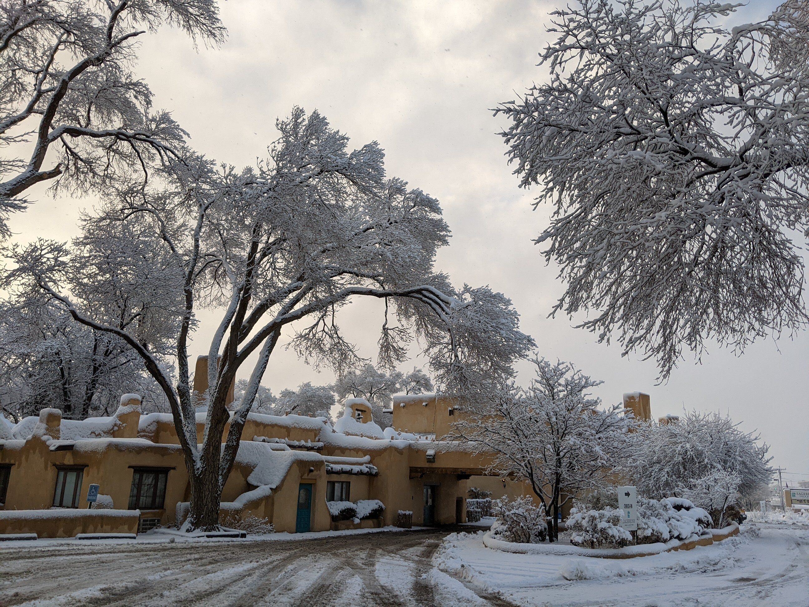 A snow-covered building with a traditional architectural style, surrounded by trees and a snow-covered driveway.
