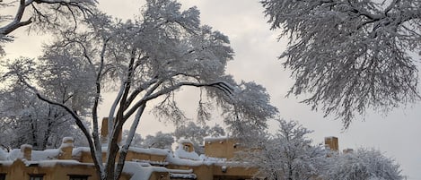 A snow-covered building with a traditional architectural style, surrounded by trees and a snow-covered driveway.