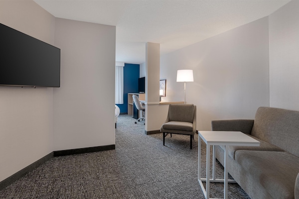 Smart TV 49 pulgadas con canales de televisión vía satélite, televisión