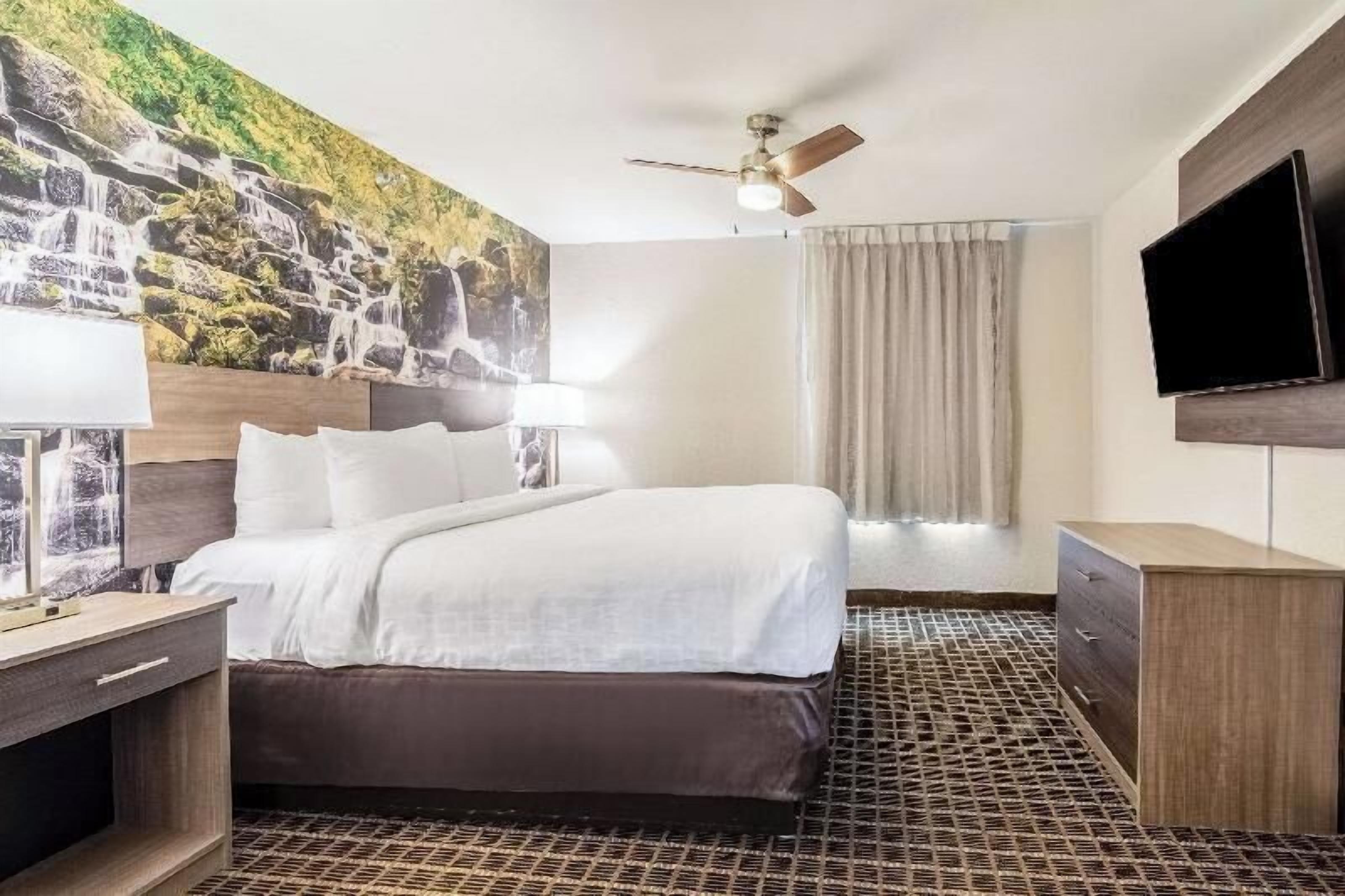 1 habitación, ropa de cama de alta calidad y escritorio 
