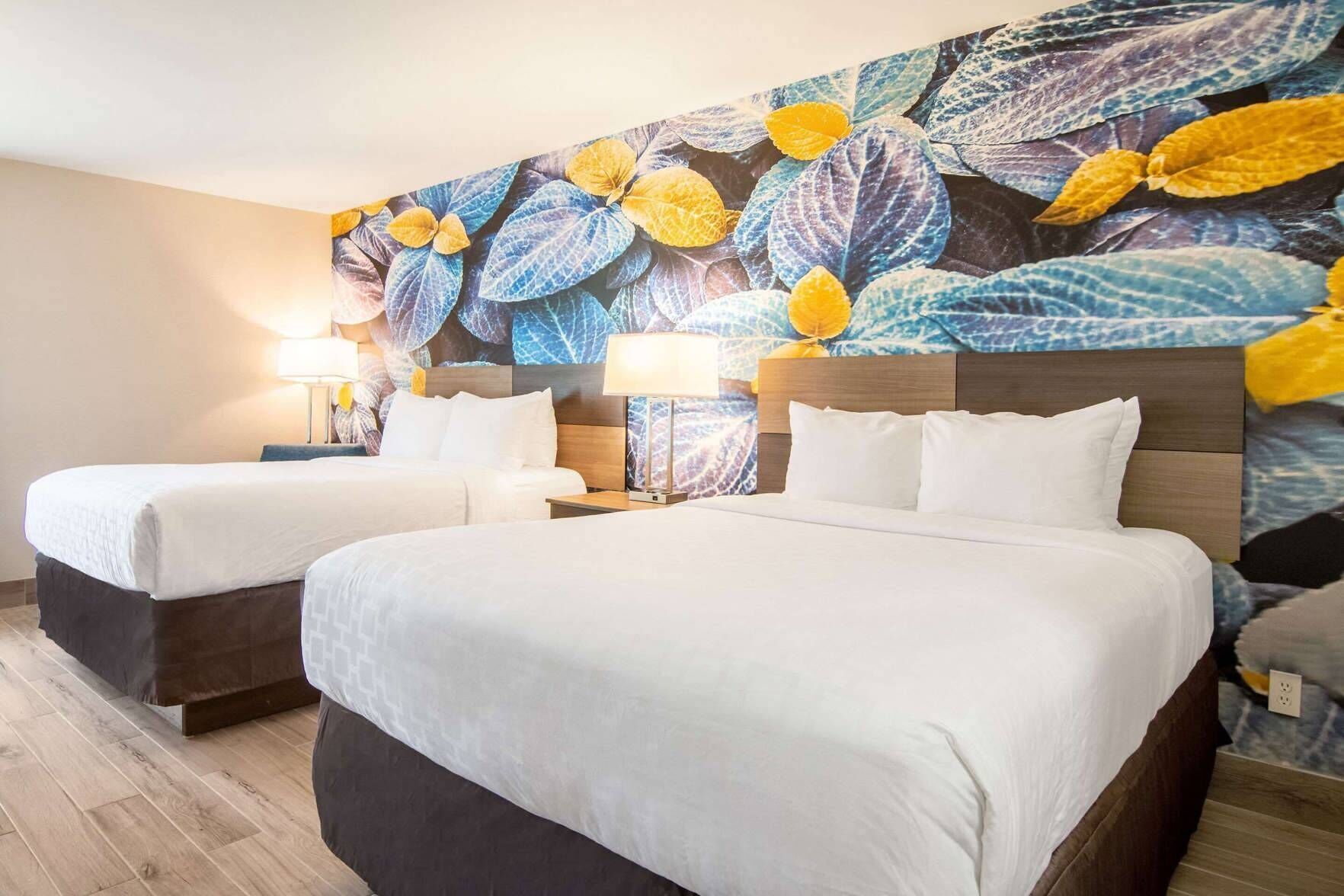 1 habitación, ropa de cama de alta calidad y escritorio 