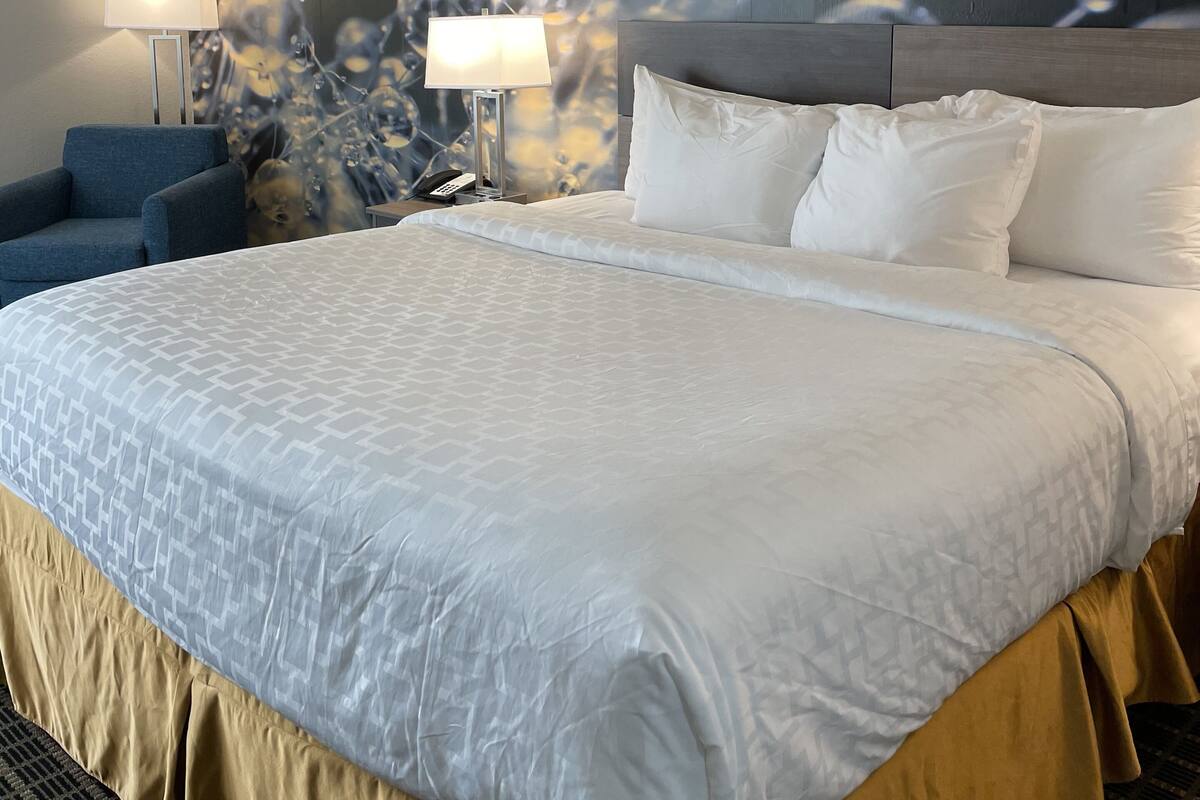 Habitación de hotel con una cama grande, un escritorio, una silla, una lámpara y un cuadro con motivos de burbujas en la pared.