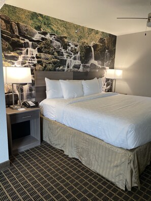 1 chambre, literie de qualité supérieure, bureau