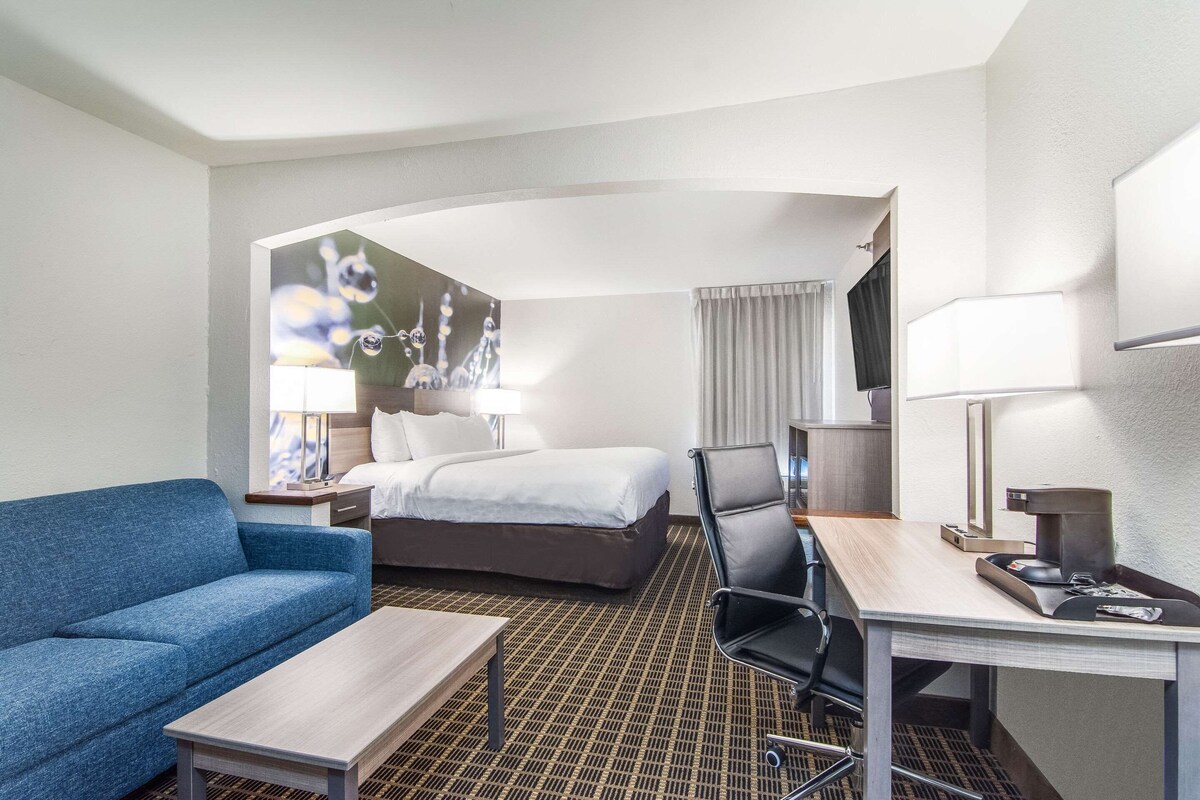 A hotel room with a bed, a blue sofa, a desk with a chair, a coffee maker, and a TV.