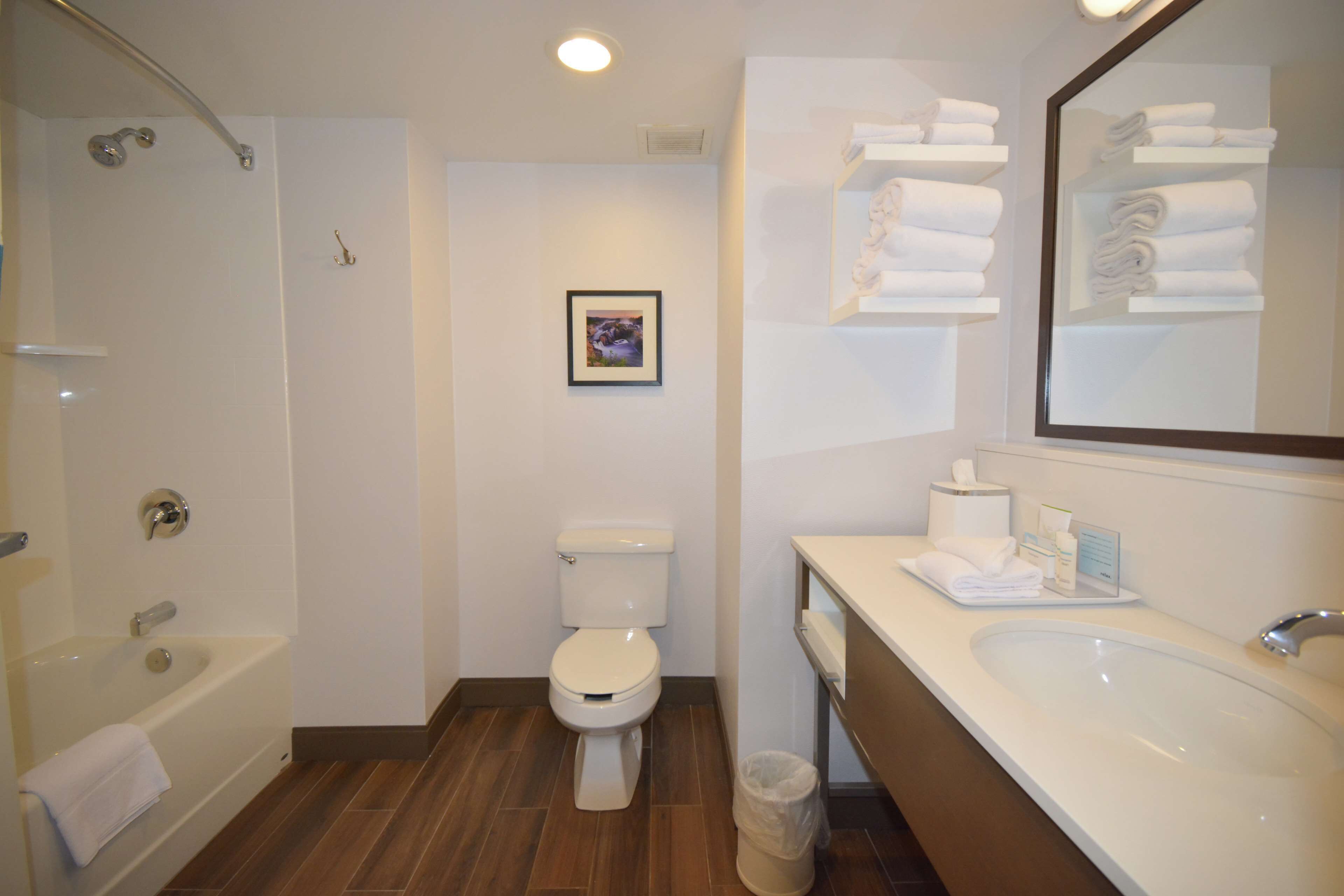 suite, 1 king bed, non smoking | bathroom | eco-friendly toiletries, hair dryer, towels, soap