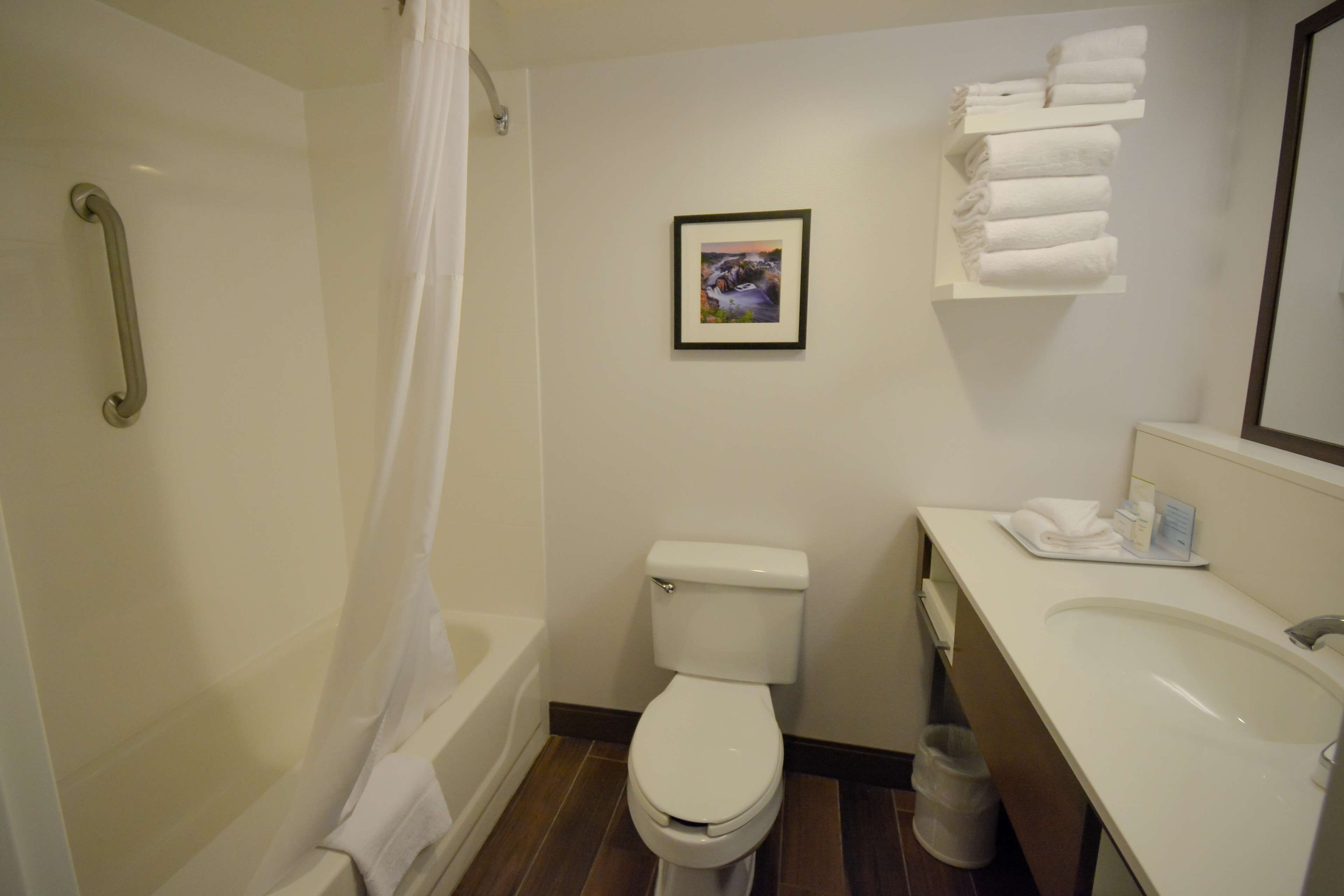 suite, 1 king bed with sofa bed, non smoking | bathroom | eco-friendly toiletries, hair dryer, towels, soap