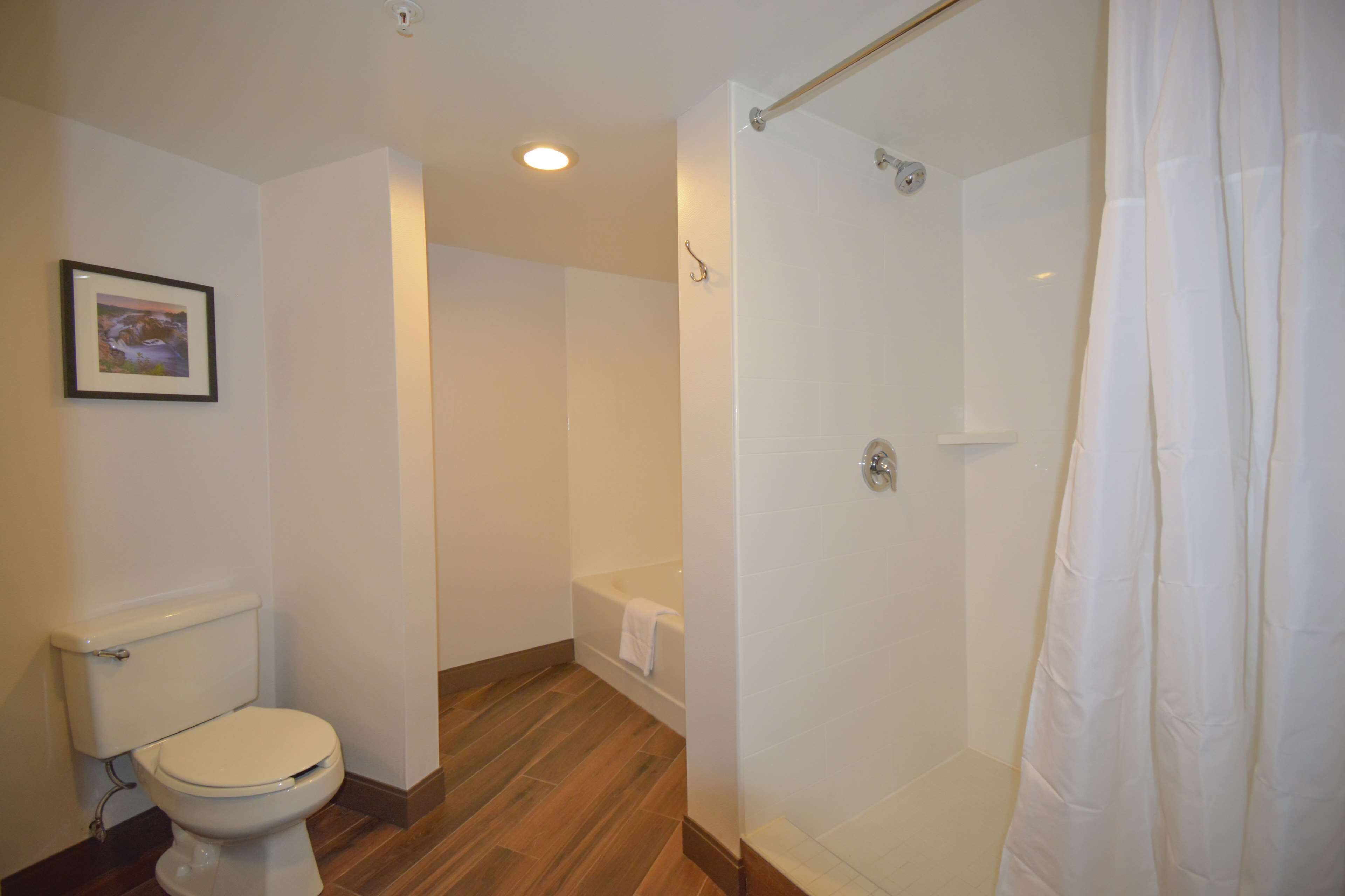 deluxe room, 1 king bed, non smoking | bathroom | eco-friendly toiletries, hair dryer, towels, soap