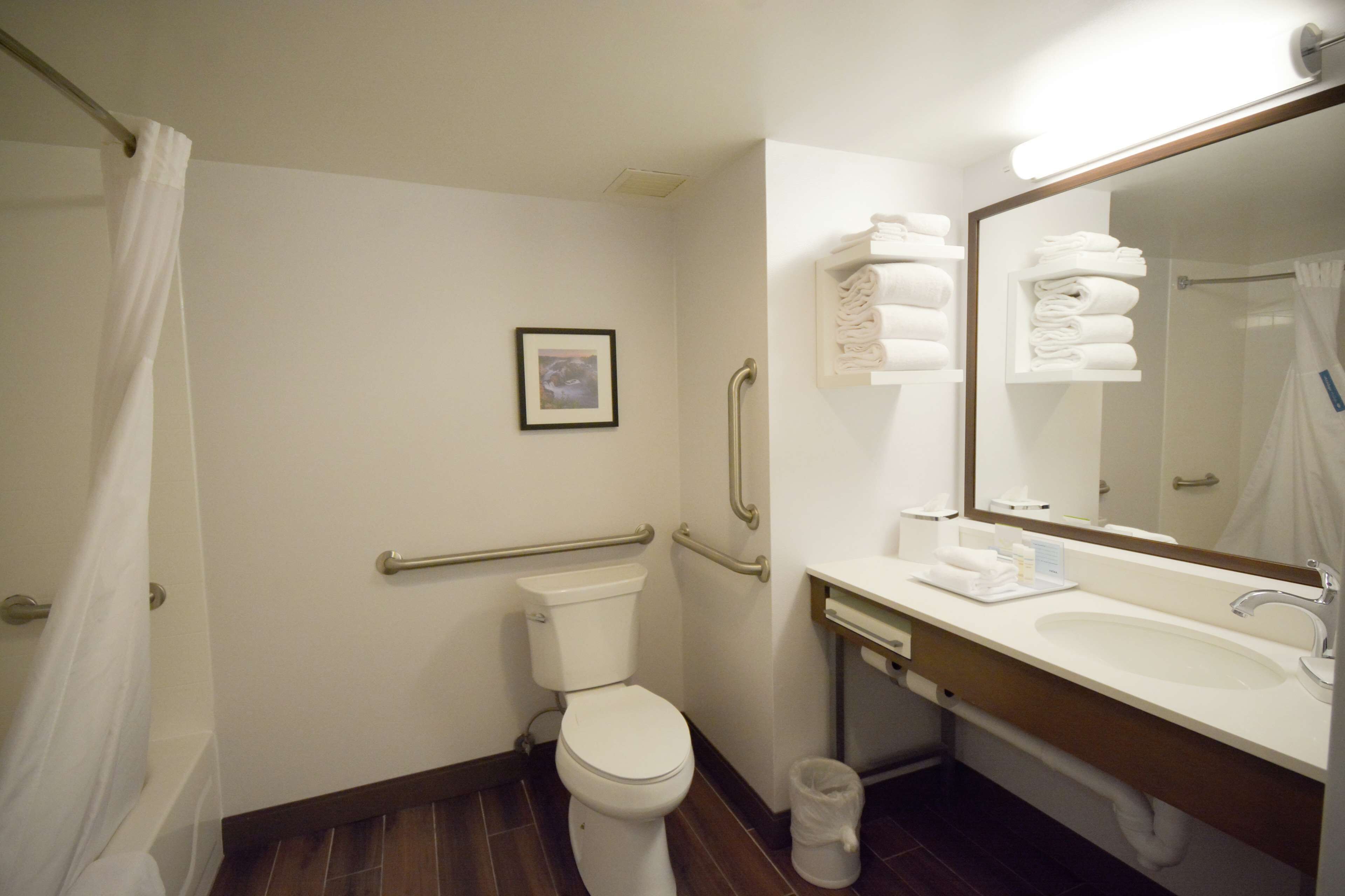 room, 1 king bed, accessible, bathtub | bathroom | eco-friendly toiletries, hair dryer, towels, soap