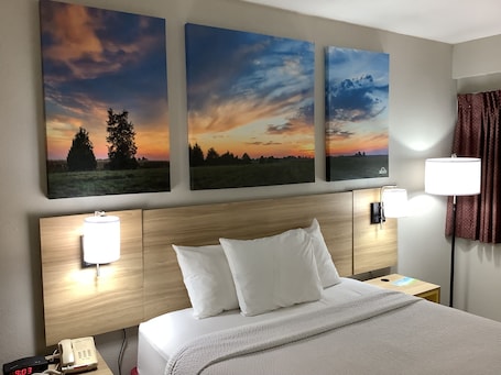 办公桌、折叠床/加床(额外收费)、免费 WiFi、床单