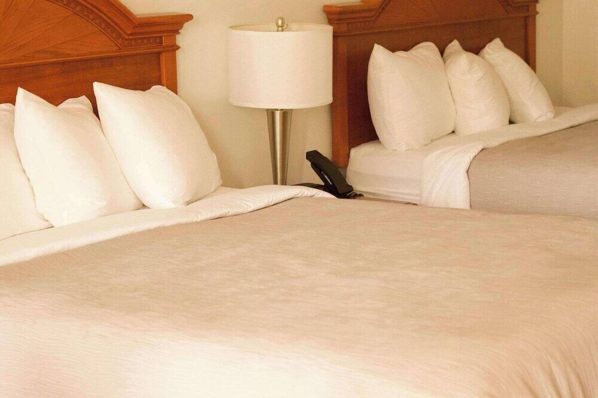 Two beds with white linens, a bedside lamp, and a telephone on the left bed.