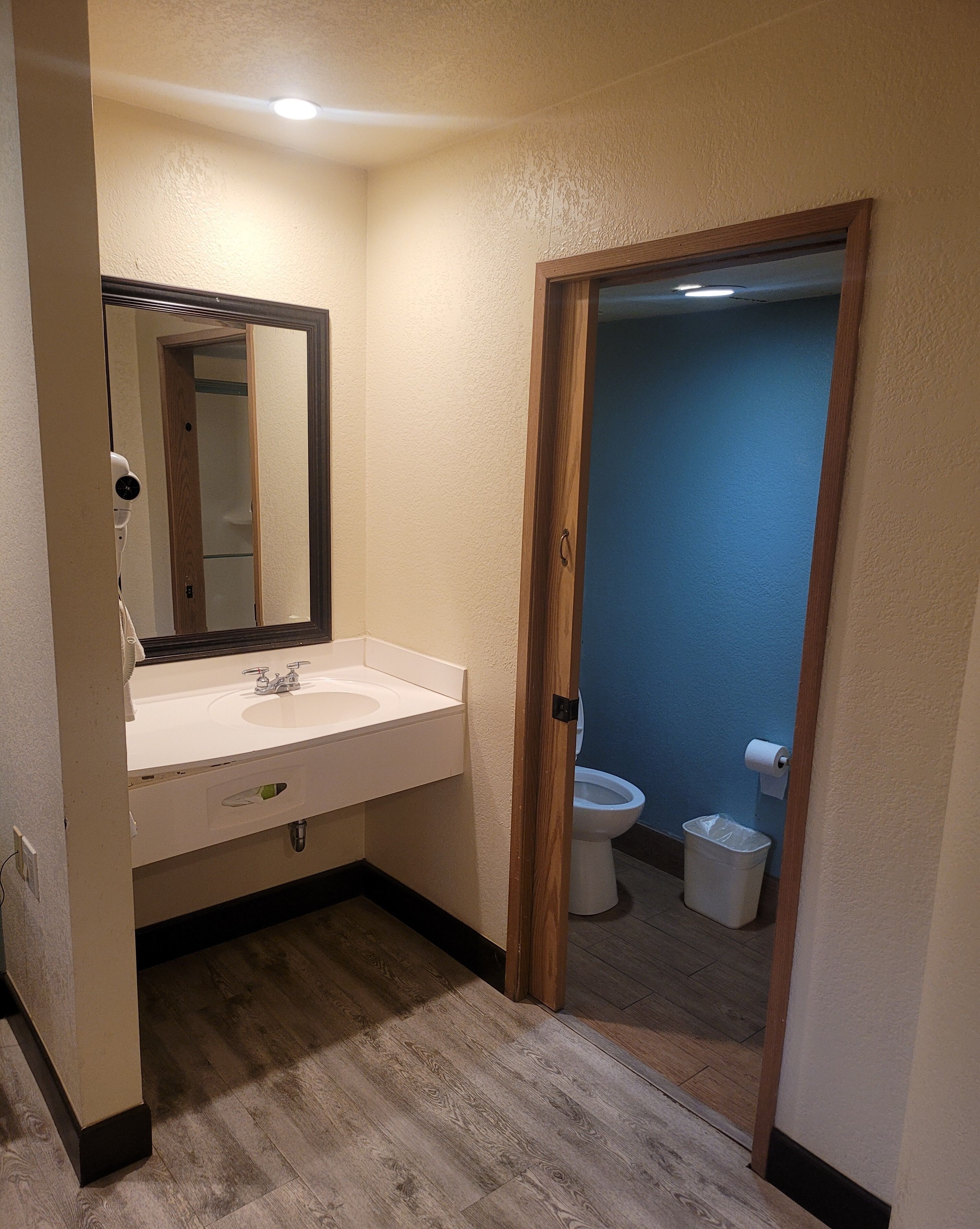A bathroom with a white sink, mirror, and wooden floor.