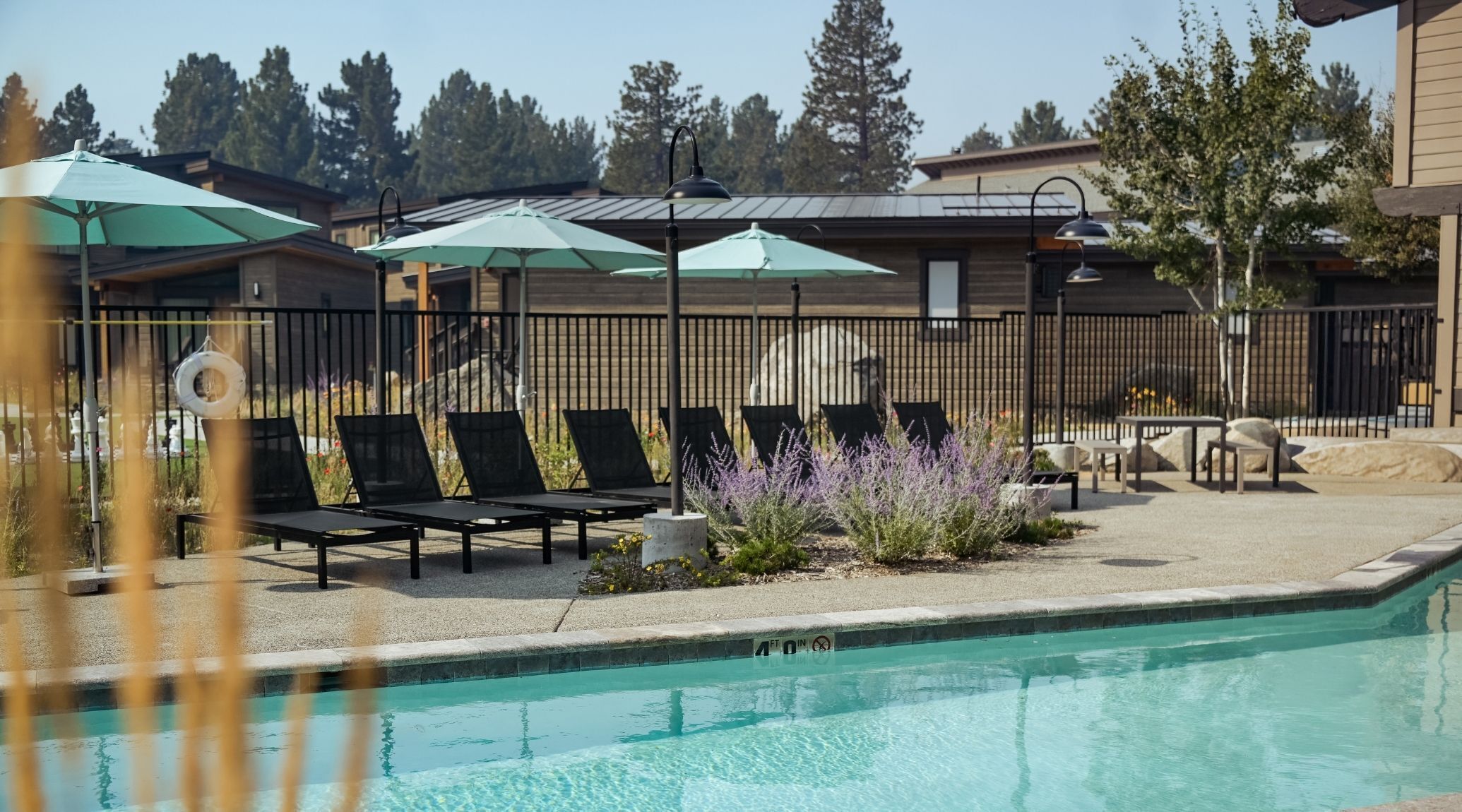 A swimming pool with lounge chairs and umbrellas, surrounded by a fence and vegetation.