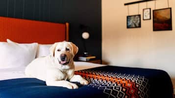 Un chien allongé sur un lit recouvert d’une couverture à motifs, avec une tête de lit rouge et un mur orné de tableaux encadrés.