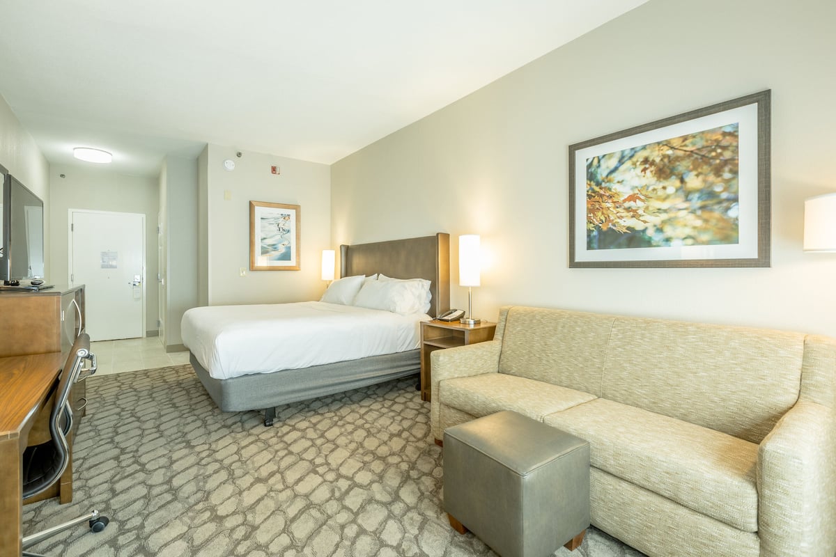 Une chambre d’hôtel avec un lit, un canapé, un bureau et un tableau encadré au mur.