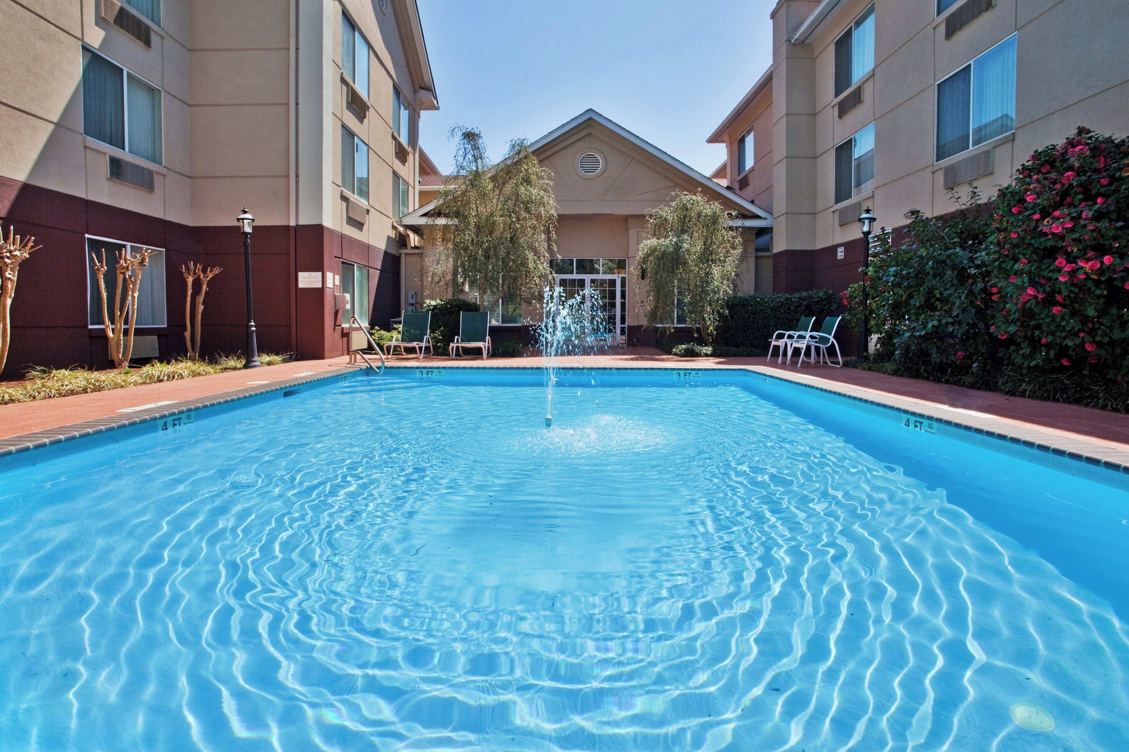 Outdoor pool, sun loungers