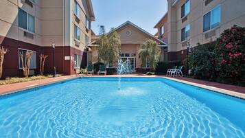 Outdoor pool, sun loungers