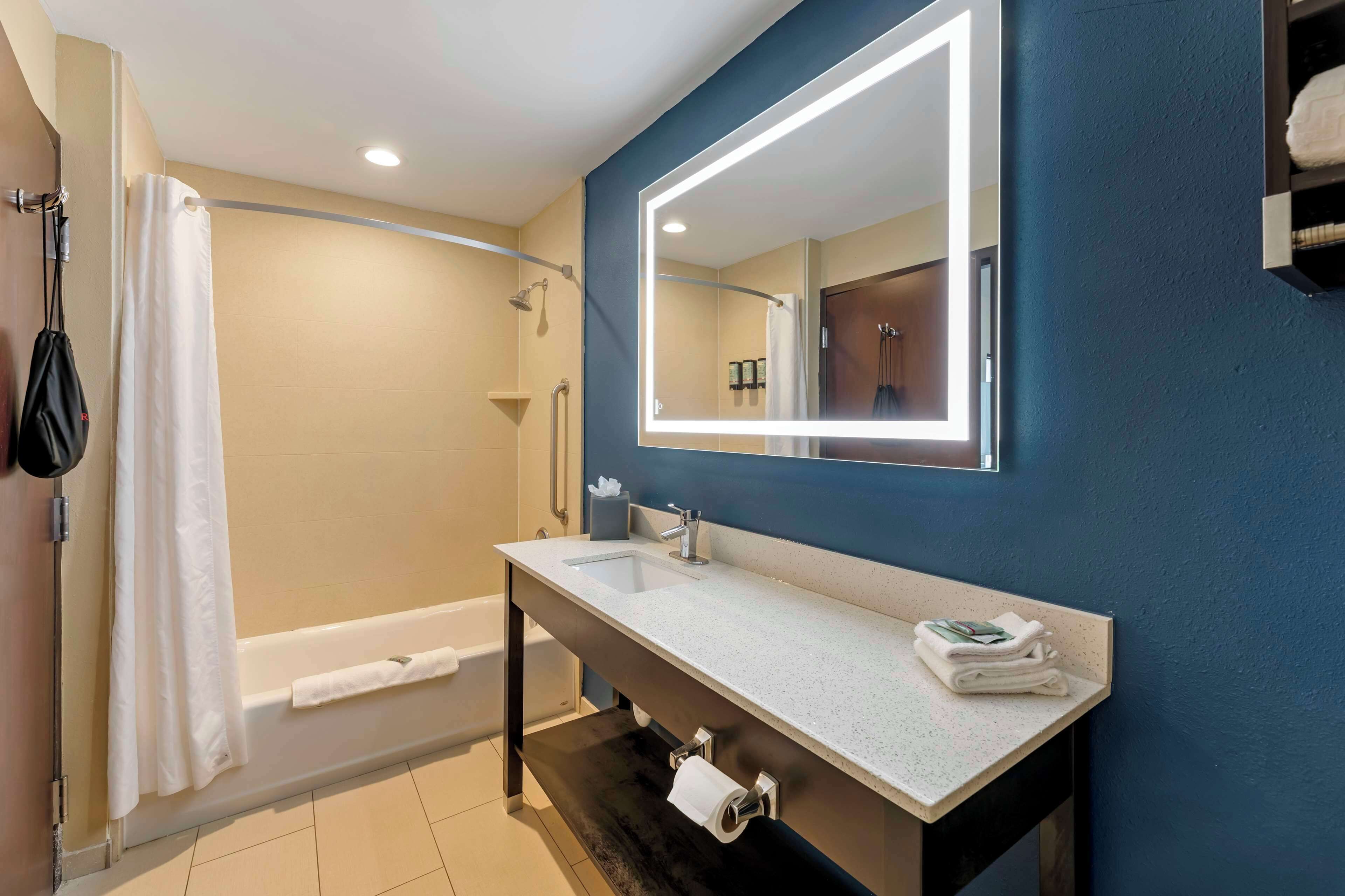 presidential suite, 1 king bed, non smoking, kitchenette (with sofabed) | bathroom | free toiletries, hair dryer, towels, soap