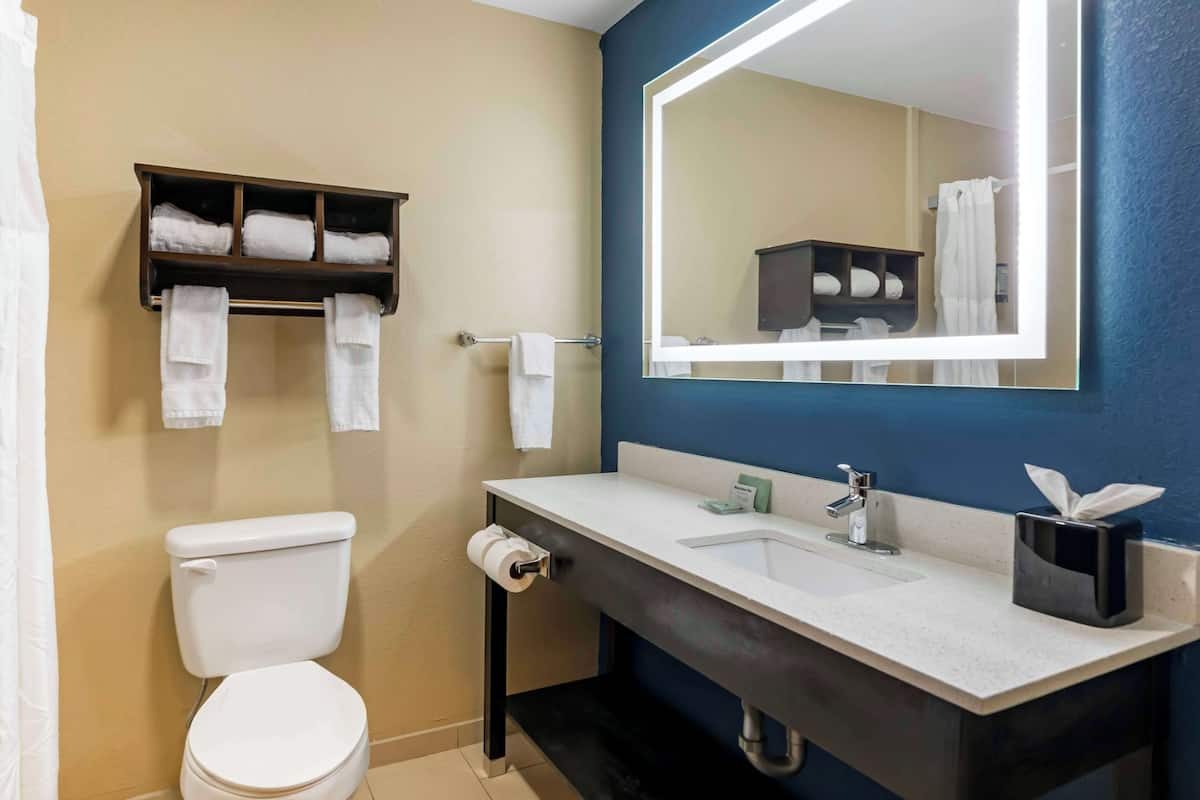 standard room, 1 king bed, non smoking, refrigerator & microwave | bathroom | free toiletries, hair dryer, towels, soap