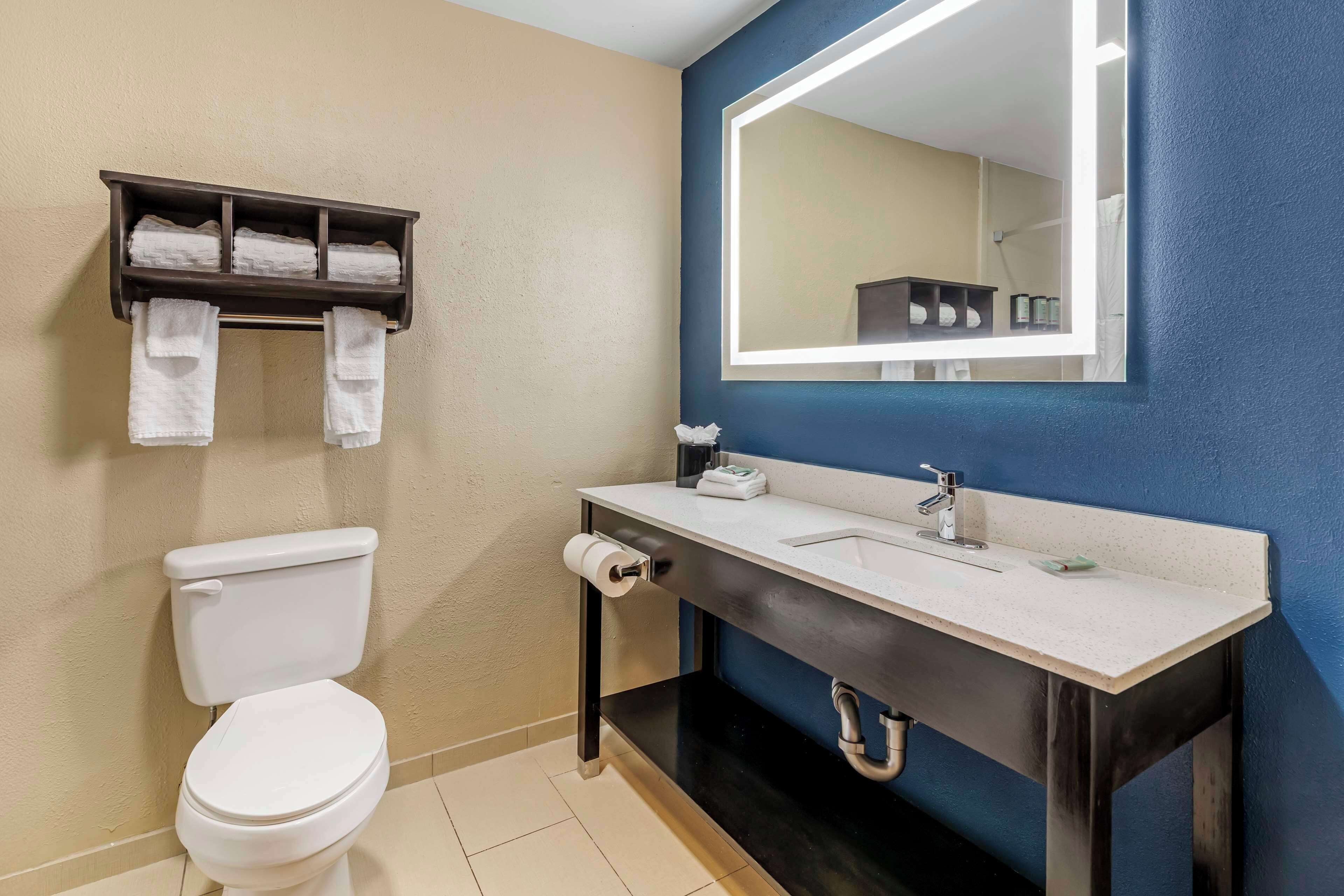suite, 1 king bed, non smoking, kitchenette (with sofabed) | bathroom | free toiletries, hair dryer, towels, soap