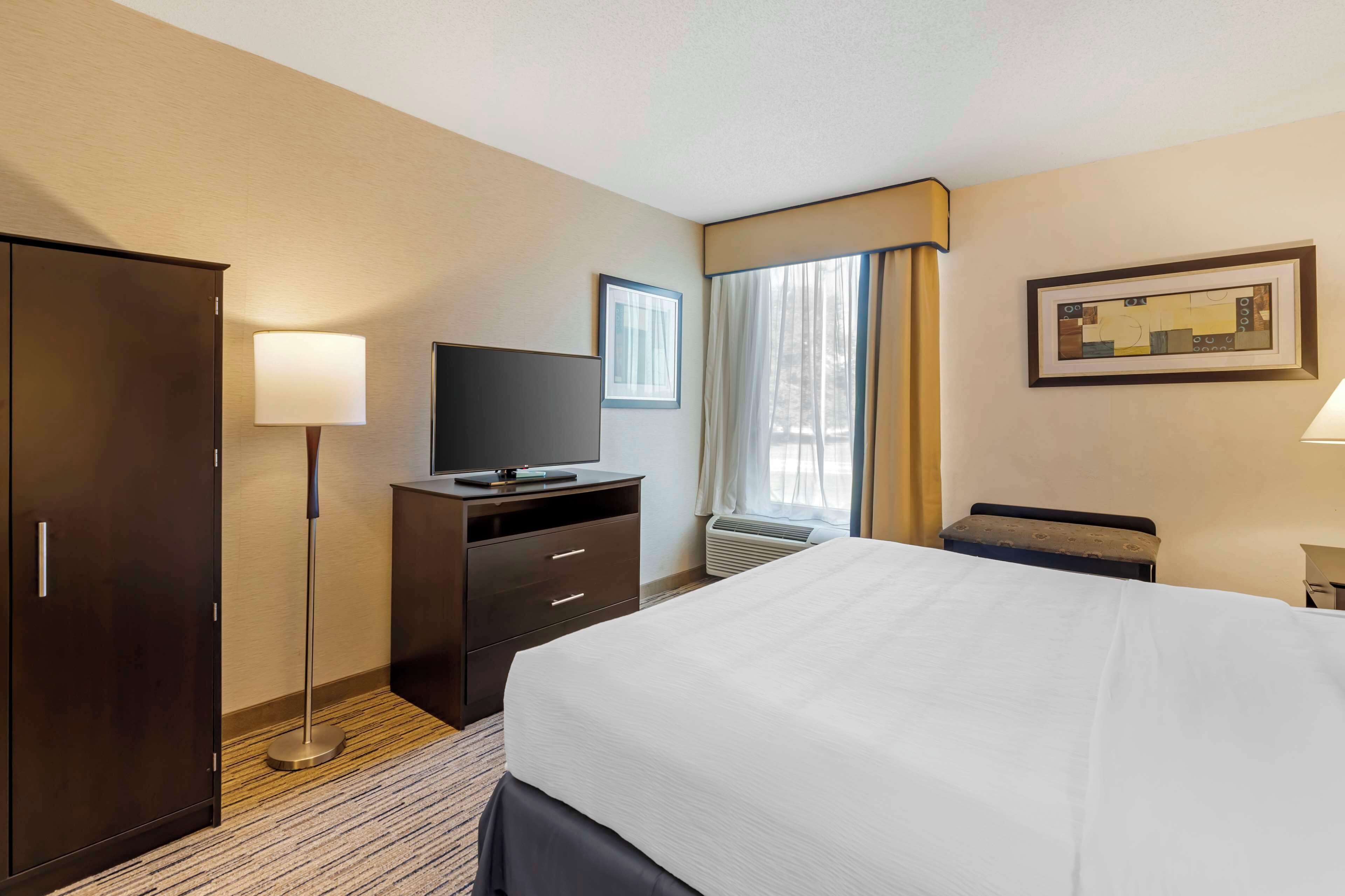 suite, 1 king bed, non smoking, kitchenette (with sofabed) | desk, laptop workspace, blackout curtains, iron/ironing board