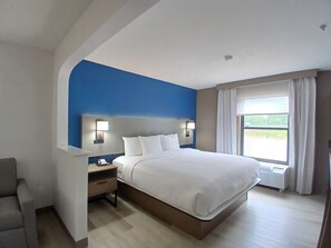 Executive Suite, 1 King Bed with Sofa Bed, Ground Floor | Premium bedding, pillowtop beds, desk, laptop workspace