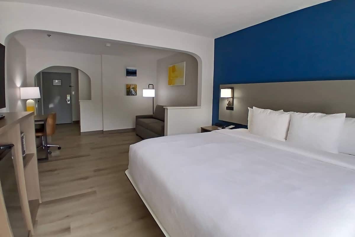 Executive Suite, 1 King Bed with Sofa Bed, Ground Floor | Premium bedding, pillowtop beds, desk, laptop workspace