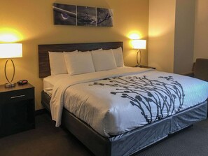 Room, 1 King Bed, Non Smoking