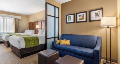 Comfort Suites San Antonio Airport North