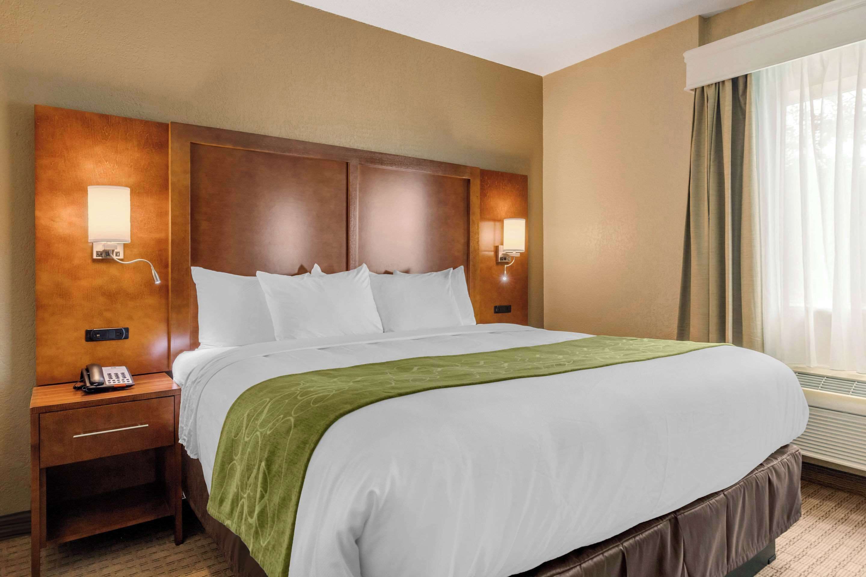 Foto - Comfort Suites San Antonio Airport North